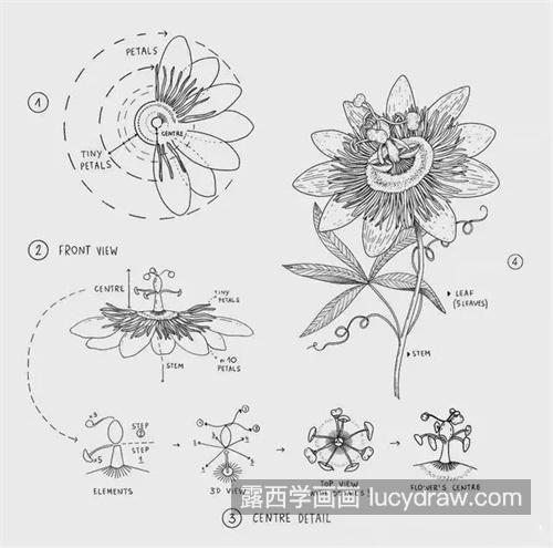 素描中光影应该怎么刻画 简单的素描关系如何理解