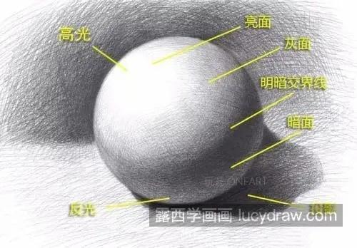 素描中新手怎样处理画面中的黑白灰关系 简答的素描基础教程新手必看