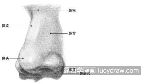 素描五官怎么绘制 新手在素描人物五官的时候需要注意什么