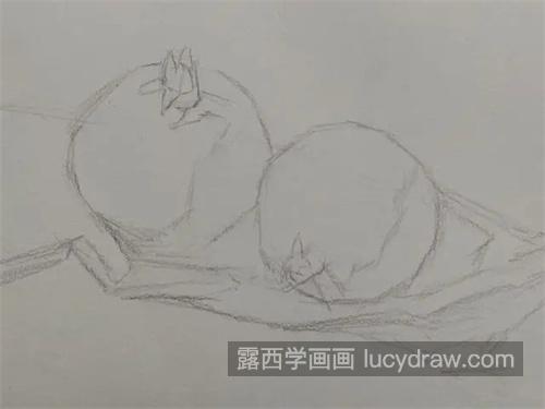 素描石榴的绘制教程新手必学 很简单的素描水果之石榴的绘制教程