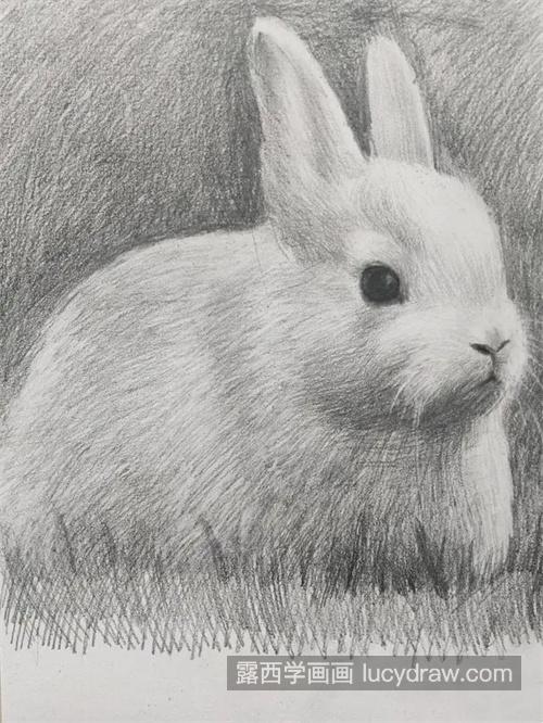 超可爱的小兔子素描教程 简单的素描小兔子绘制过程图解