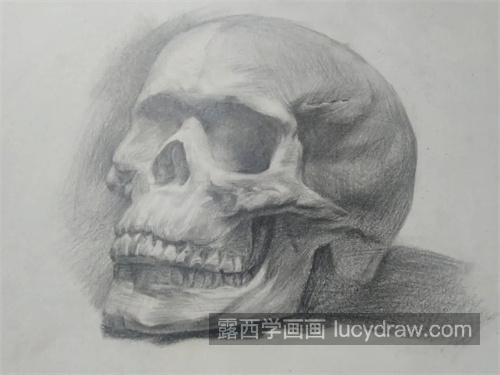 简单又易学的素描人物头骨 素描人物头骨怎么绘制简单