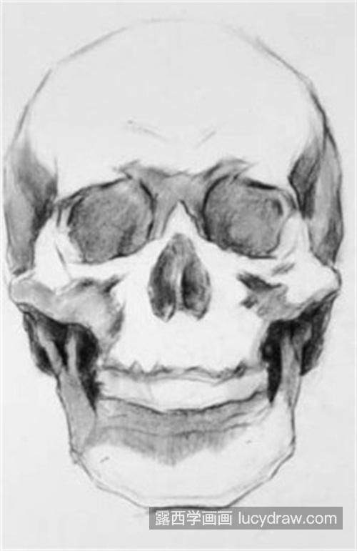 简单又易学的素描人物头骨 素描人物头骨怎么绘制简单