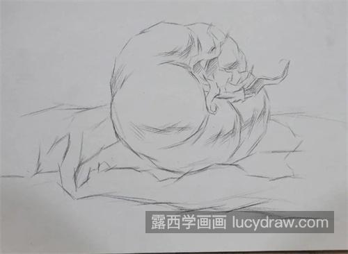 素描西红柿怎样绘制简单 素描西红柿的绘画步骤