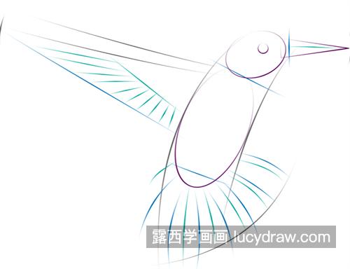 体型很小的蜂鸟简笔画怎么绘制 漂亮好看的精致蜂鸟绘制教程