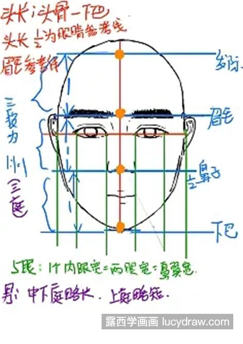 素描头部的比例怎么确定 简单的素描头像教程