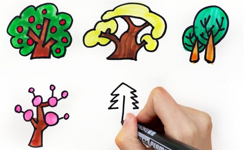 大树简笔画怎么画简单又好看 卡通彩色的大树简笔画怎么画