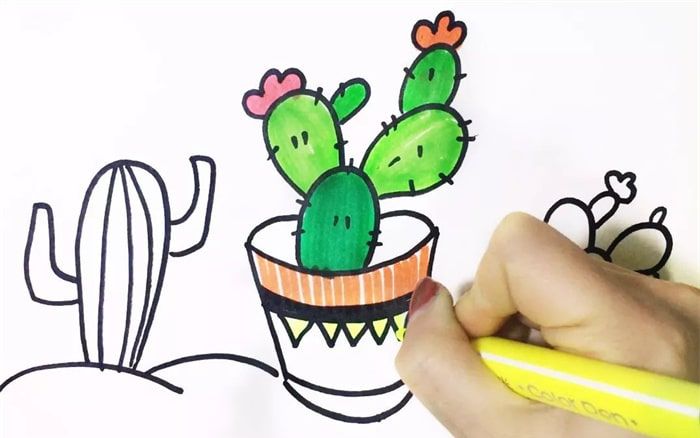 简单又好看的仙人掌简笔画绘制教程 卡通又带颜色的仙人掌简笔画