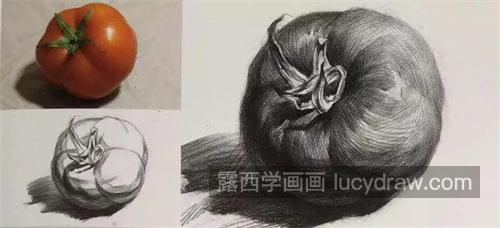 素描西红柿怎么绘制简单 素描西红柿的绘画步骤及技巧