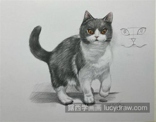 素描小猫的绘制教程 素描小猫怎么处理毛发细节