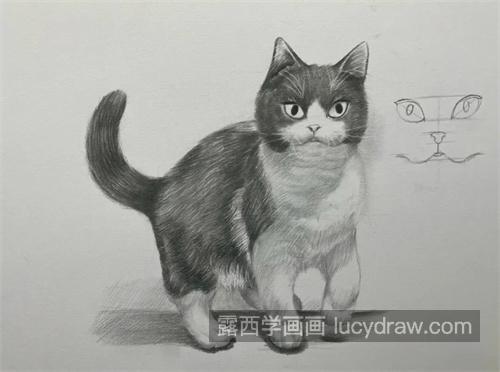 素描小猫的绘制教程 素描小猫怎么处理毛发细节