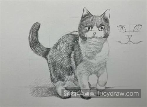 素描小猫的绘制教程 素描小猫怎么处理毛发细节