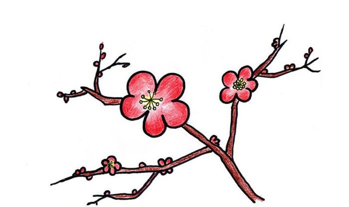 红梅花简笔画怎么绘制 简单好看的梅花怎么绘制
