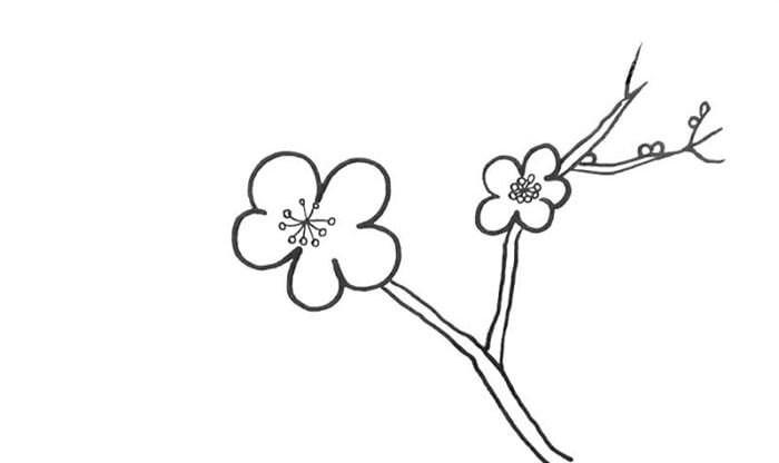 红梅花简笔画怎么绘制 简单好看的梅花怎么绘制