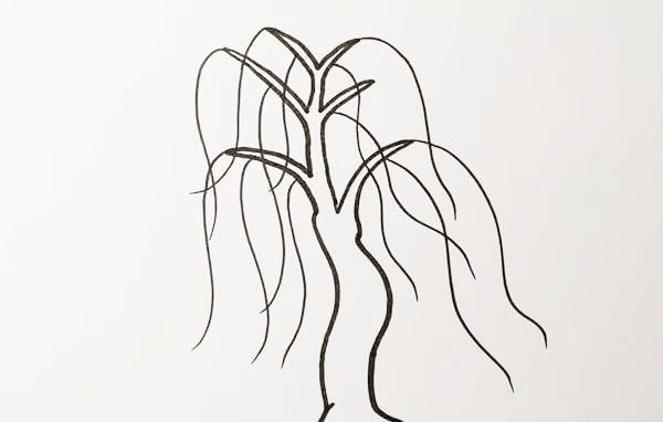 简单的柳树简笔画怎么画好看 彩色的柳树绘画步骤及教程
