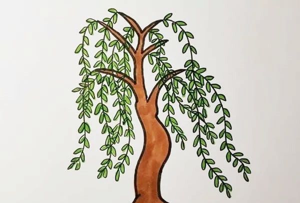 简单的柳树简笔画怎么画好看 彩色的柳树绘画步骤及教程