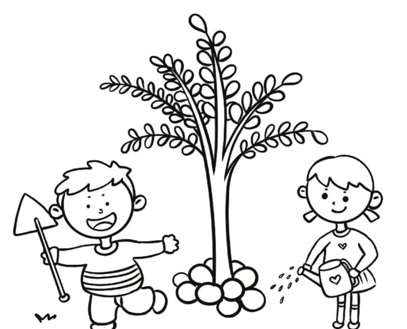 植树节简笔画怎么绘制好看 彩色有趣的植树节简笔画绘制教程
