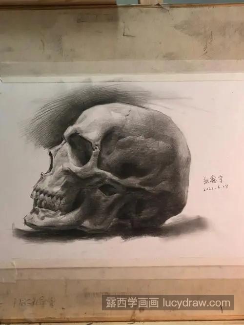 素描头骨怎么绘制 怎样刻画素描头骨