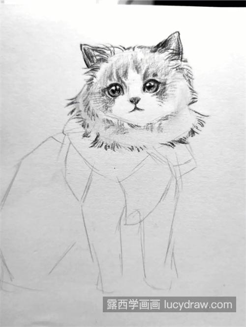 怎么学习绘制素描猫咪 素描猫咪怎么绘制简单