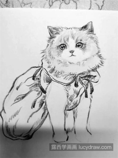 怎么学习绘制素描猫咪 素描猫咪怎么绘制简单