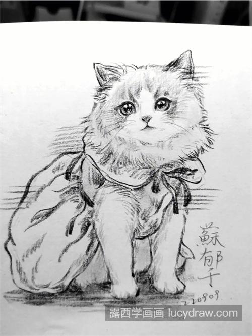 怎么学习绘制素描猫咪 素描猫咪怎么绘制简单