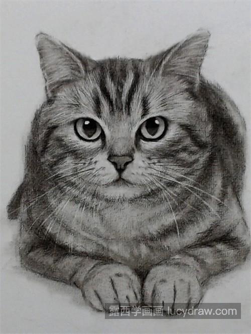 素描小猫的绘画教程 素描猫咪的技巧及方法