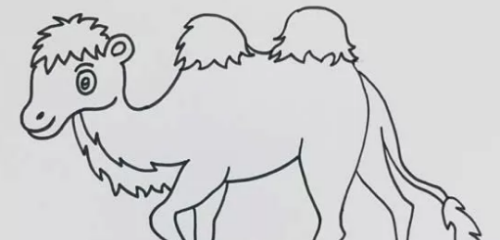 特别耐旱的骆驼简笔画绘制教程 沙漠骆驼简笔画怎么画带步骤教程