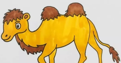 特别耐旱的骆驼简笔画绘制教程 沙漠骆驼简笔画怎么画带步骤教程