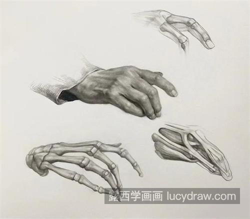 素描人物手部动作怎么绘制 新手怎样学习素描人物手部动作