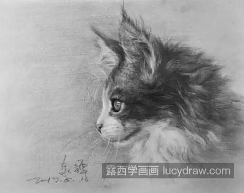 素描小猫怎么画好看 简单的素描小猫怎么绘制