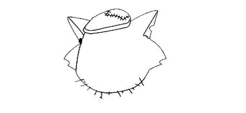 彩色又好看的大灰狼简笔画怎么画 可爱的大灰狼简笔画绘制教程带步骤