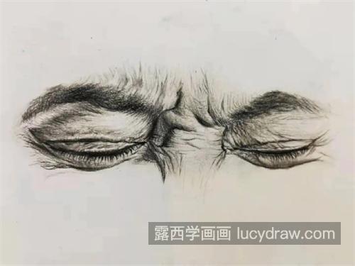 素描人物面部纹路怎么刻画 素描面部细节怎么画