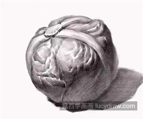 素描之单个静物怎么样刻画 素描单个静物需要注意什么