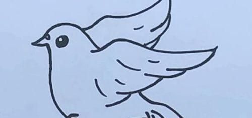 洁白又聪明的小鸽子简笔画绘制教程 简单又好看的鸽子简笔画怎么画
