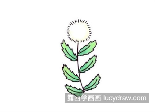 卡通好看的蒲公英简笔画绘制教程 带颜色的蒲公英怎么画好看