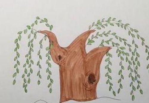 彩色好看的柳树简笔画怎么画 简单又好看的柳树简笔画绘制教程