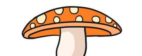 好看的彩色大蘑菇简笔画怎么画 简单带颜色的大蘑菇简笔画绘制教程