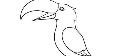 羽毛很漂亮的小鸟简笔画绘制教程 简单又好看的小鸟简笔画怎么画