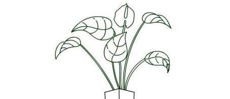 五彩缤纷的花朵简笔画怎么画 简单又好看的花朵简笔画绘制教程