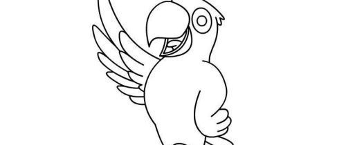 聪明又好看的鹦鹉简笔画怎么画 简单又带颜色的鹦鹉简笔画绘制教程