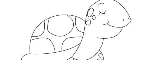 彩色好看的海龟简笔画绘制教程 可爱又漂亮的海龟简笔画怎么画简单