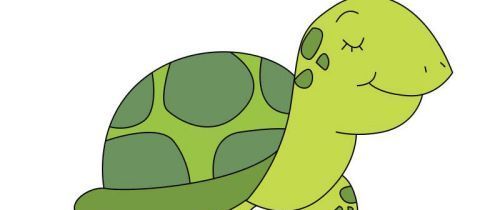 彩色好看的海龟简笔画绘制教程 可爱又漂亮的海龟简笔画怎么画简单