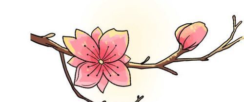 粉嫩好看的桃花简笔画绘制教程 简单又漂亮的桃花简笔画怎么画好看