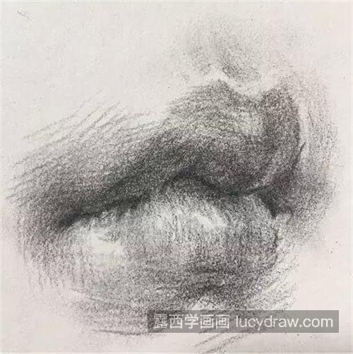 素描嘴巴的绘制教程 新手怎样学习绘制素描嘴巴