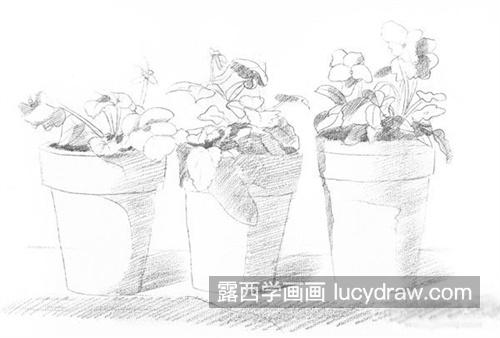 素描花盆的绘制教程 新手如何画出一副优秀的素描花卉作品