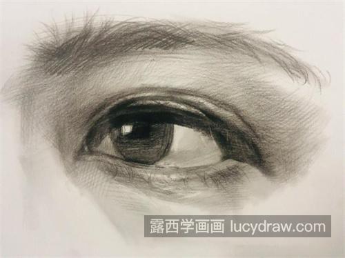 新手怎样学习素描人物的眼睛 素描眼睛的绘制教程