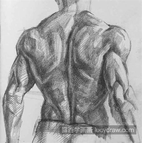 男性肌肉如何在素描中体现 素描男性肌肉的绘制教程