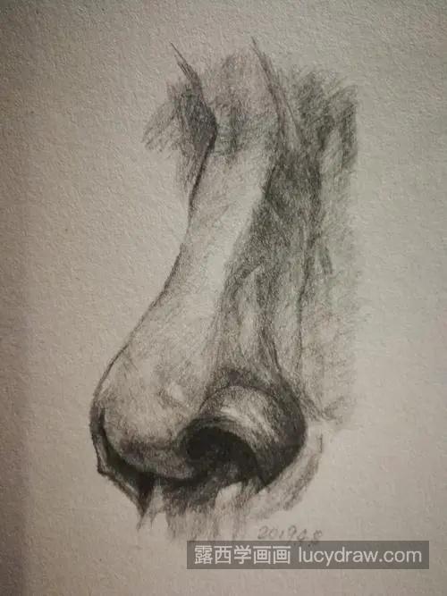 素描鼻子的绘制教程 素描鼻子怎么画简单