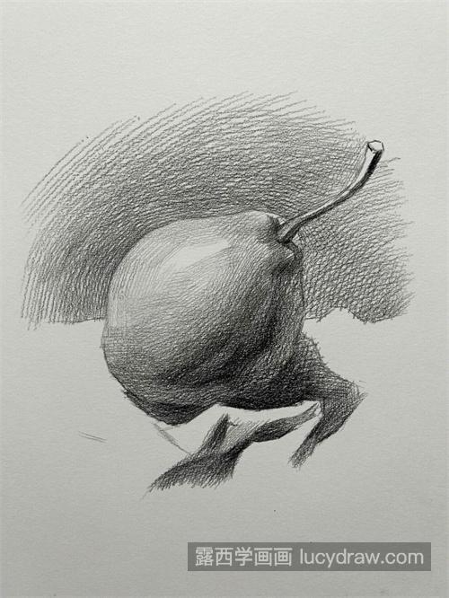素描梨子的绘制教程 素描梨子的详细步骤图
