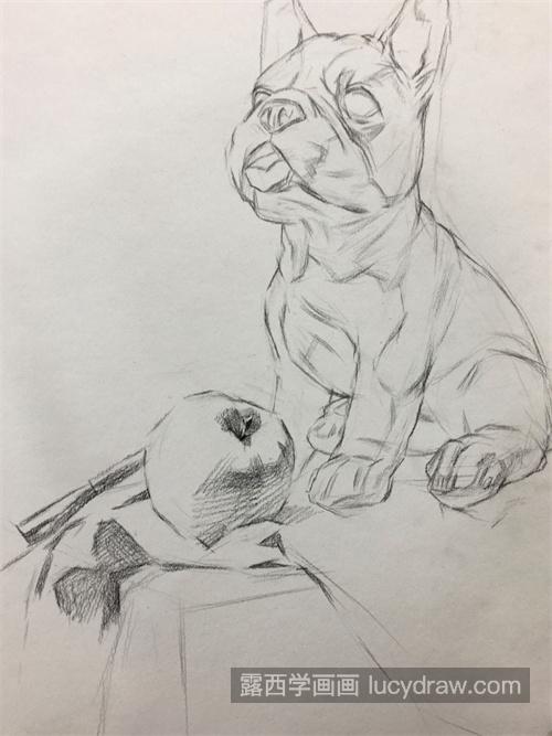 简单的静物素描小狗怎么画 简单素描小狗带步骤